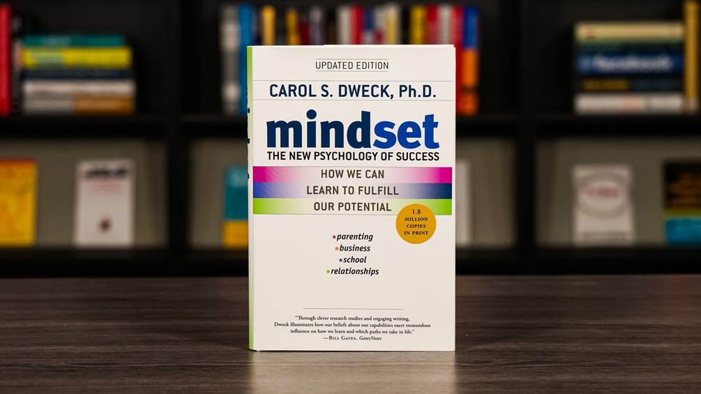 Mindset book